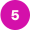 Step 5 icon